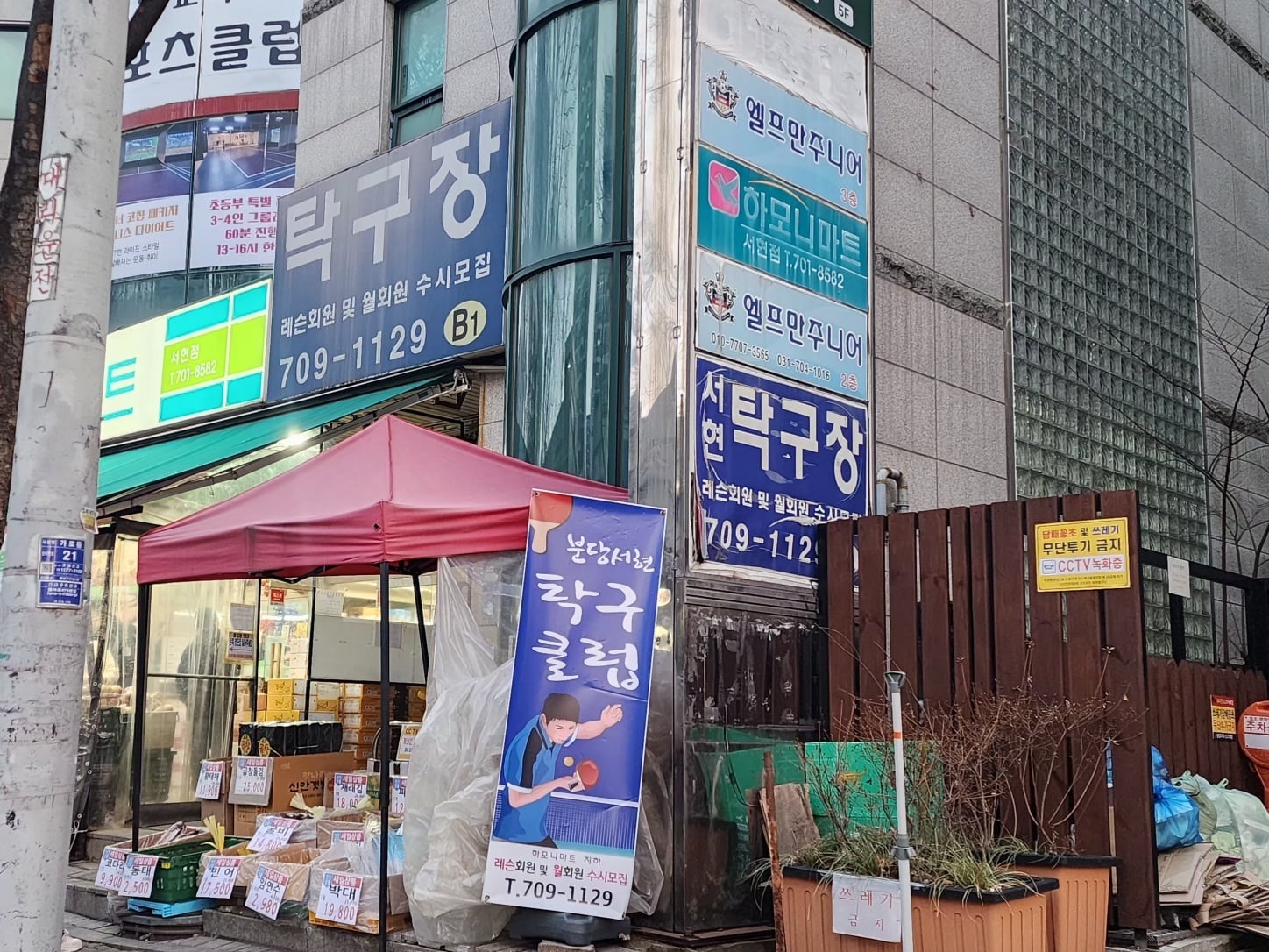 서현탁구클럽 위치